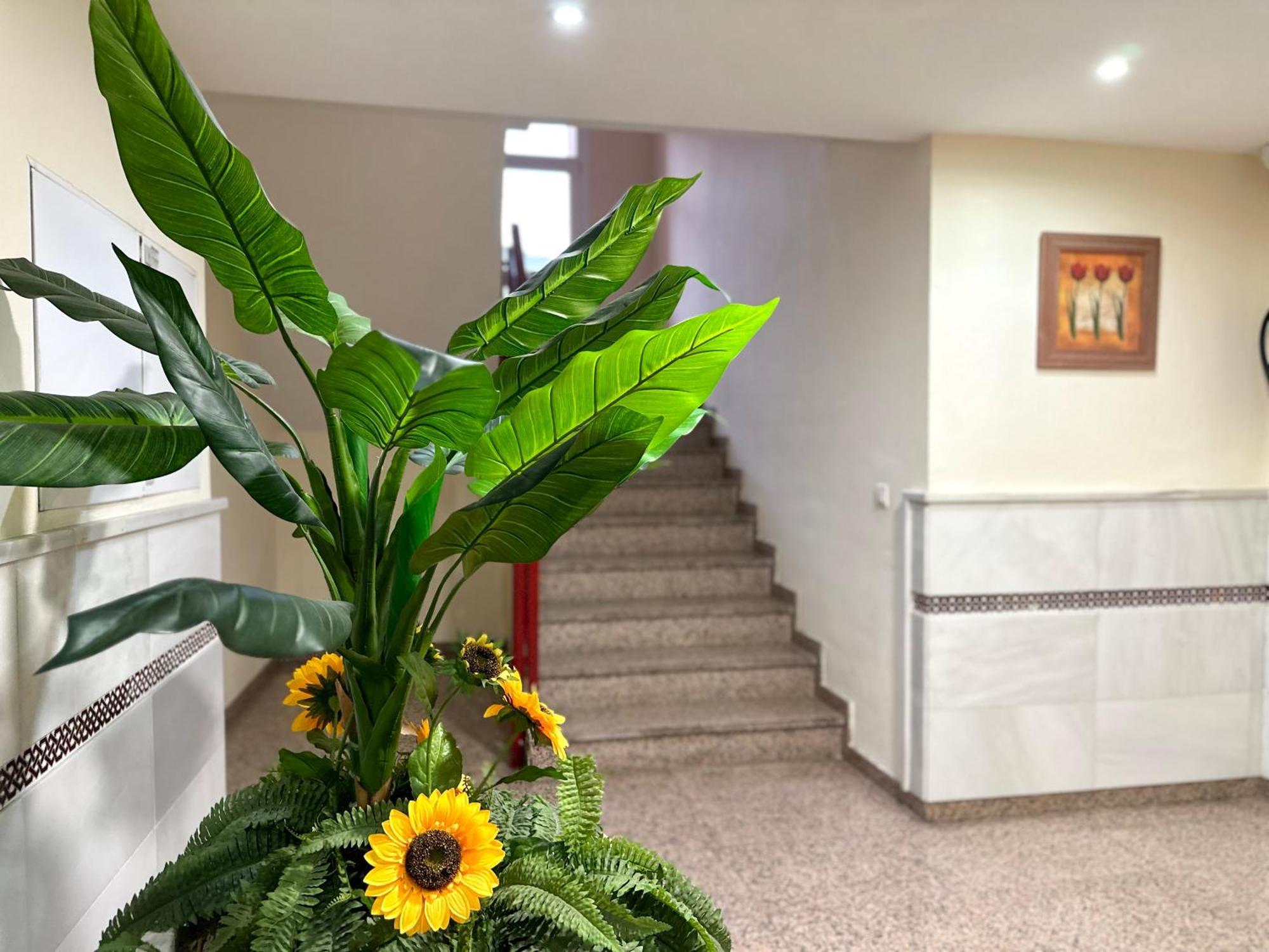 Studio In Costa Del Sol, Sea, Sunshine & Views Fuengirola Esterno foto
